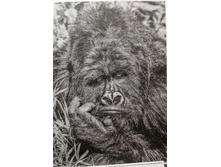 IMG 20201007 112853.jpg