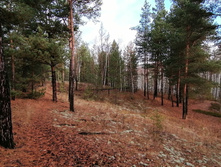 IMG 20201024 115735.jpg