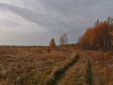 IMG 20201010 141056.jpg