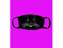 ����� ���� 250 �, �������� ����� � ����� ������� � �����