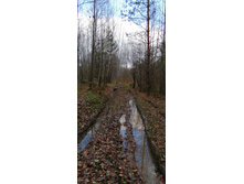 IMG 20201025 130845.jpg