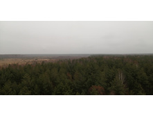 IMG 20201031 105230.jpg