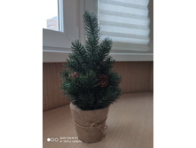 IMG 20191204 091345.jpg