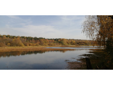 IMG 20201010 115657.jpg