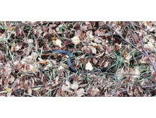 IMG 20201017 101400.jpg