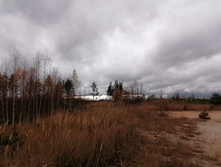 IMG 20201024 122727.jpg