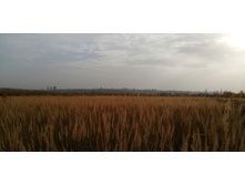 IMG 20201010 142248.jpg