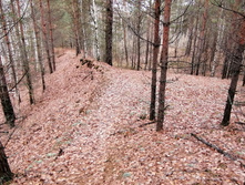 IMG 20201024 120300.jpg