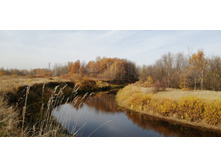 IMG 20201011 105035.jpg