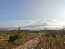 IMG 20201029 134554.jpg