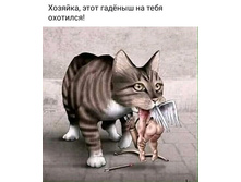 �������, ���� ��ģ��� �� ���� ��������!