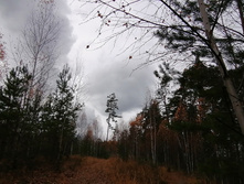 IMG 20201025 113806.jpg