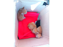 20200927 � ������� � � ��������� 143205.jpg