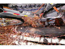 IMG 20201024 105830.jpg