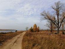 IMG 20201010 124249.jpg