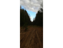 IMG 20201025 130345.jpg