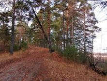 IMG 20201025 103933.jpg