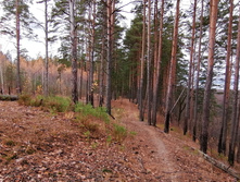 IMG 20201025 114512.jpg