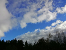 IMG 20201025 131814.jpg