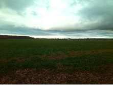 20201024 ������� 1210.jpg