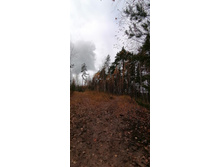 IMG 20201025 113850.jpg