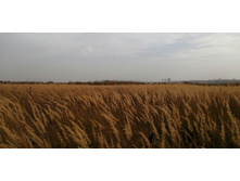 IMG 20201010 142535.jpg