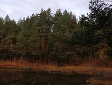 IMG 20201025 093123.jpg