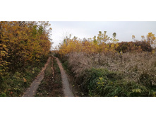 IMG 20201010 145233.jpg