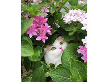 ��� ��� �� ��� �������?