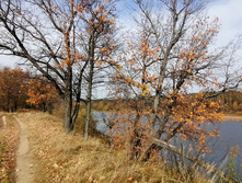 IMG 20201010 115027.jpg