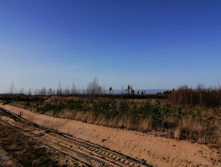 IMG 20201029 130651.jpg