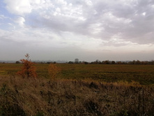 IMG 20201010 145401.jpg