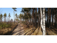 IMG 20201029 135645.jpg