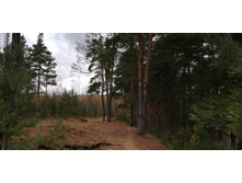 IMG 20201025 113243.jpg