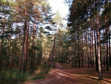 IMG 20201025 103638.jpg