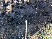 IMG 20201003 084316.jpg