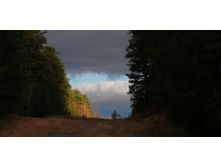 IMG 20201025 132144.jpg