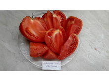 ��������� �������