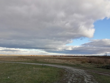 IMG 20201025 135544.jpg