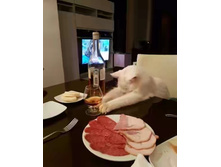 ����� �������� ���