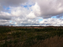 IMG 20201024 130308.jpg