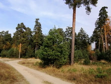 IMG 20201010 130408.jpg