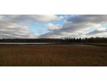 IMG 20201017 134756.jpg