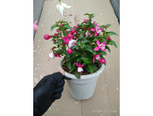 ������ �������� ������ ���� IMG 20200918 114425.jpg