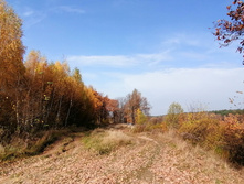 IMG 20201010 111713.jpg