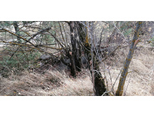 IMG 20201010 130045.jpg