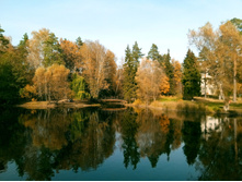 20201011 � ��̣��� ����� 10.jpg