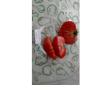 �������� ������