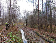 IMG 20201025 131033.jpg