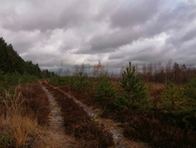 IMG 20201024 121519.jpg